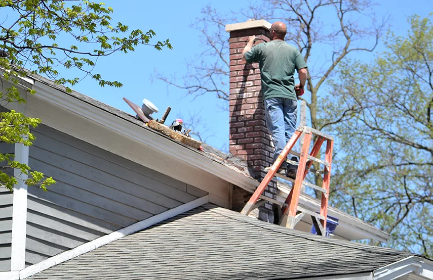 Chimney & Fireplace Inspections Services in Jasper, AL